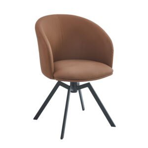 Metal Dining Chairs